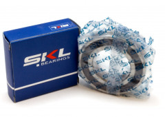 Подшипник 6004 2RS SKL
